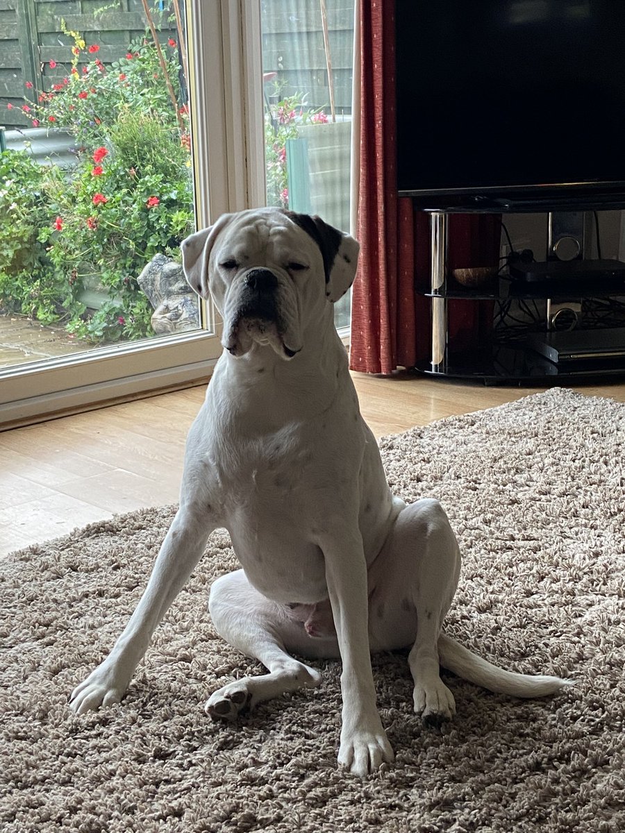 Buddy says it’s a been a fucking long week 😂😂