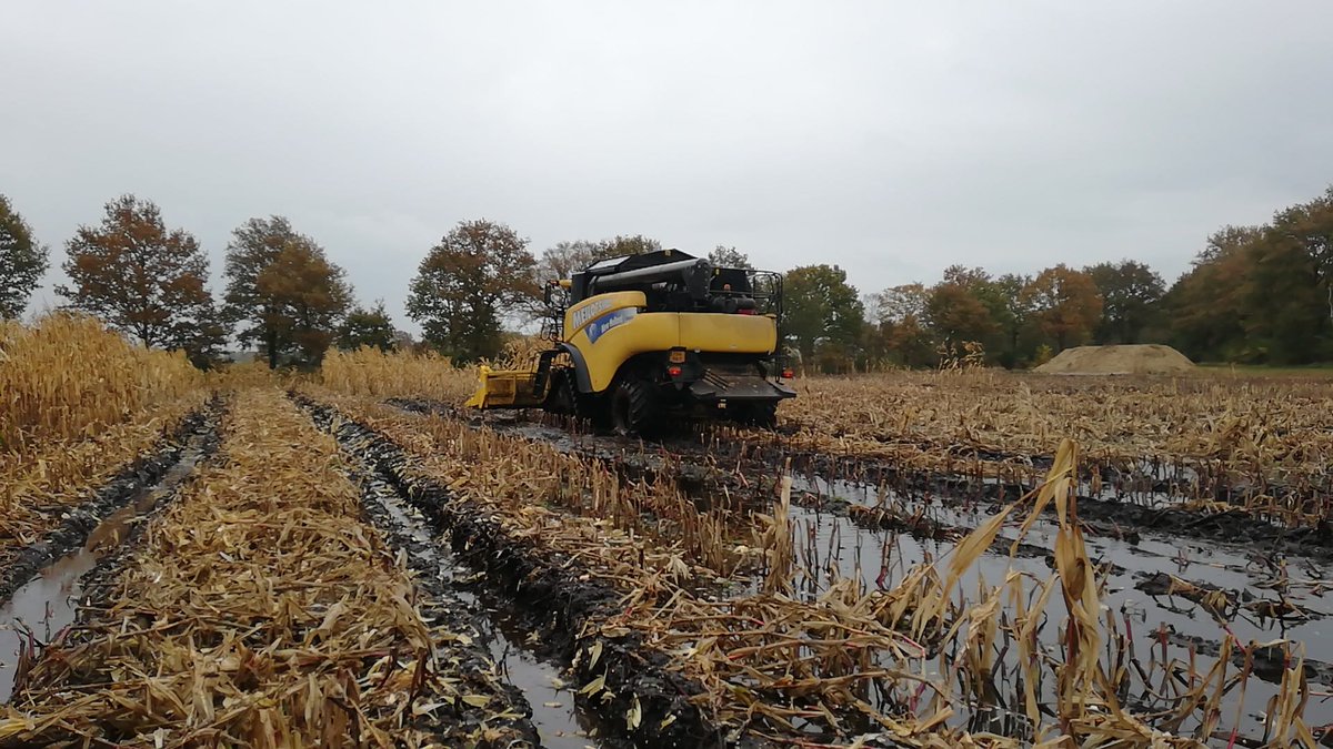 MoesJohan's tweet photo. Met @WouterLoof en @smeilof  even het #mais rijstveld kaal maken. https://t.co/xlcnbsO6wX