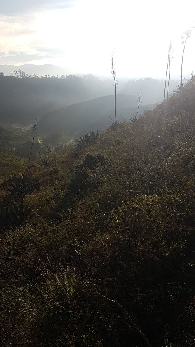 ChecaSostenible's tweet photo. Amanecer en la quebrada Uravía en Checa. #Quito #DMQ #Ecuador #Paisajes https://t.co/ahcXjL7Un5