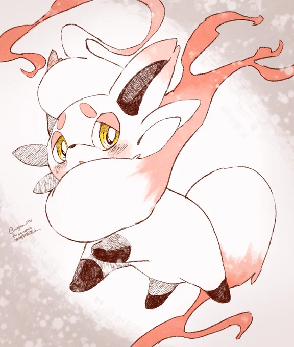 ヒスイゾロアちゃ… 