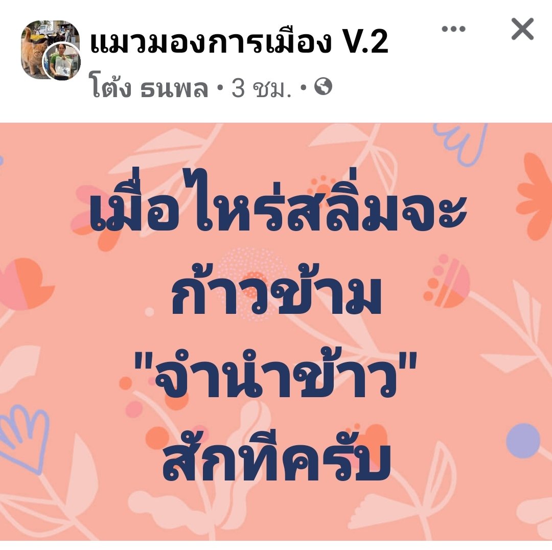 เฮฮา พาเพลิน tweet media