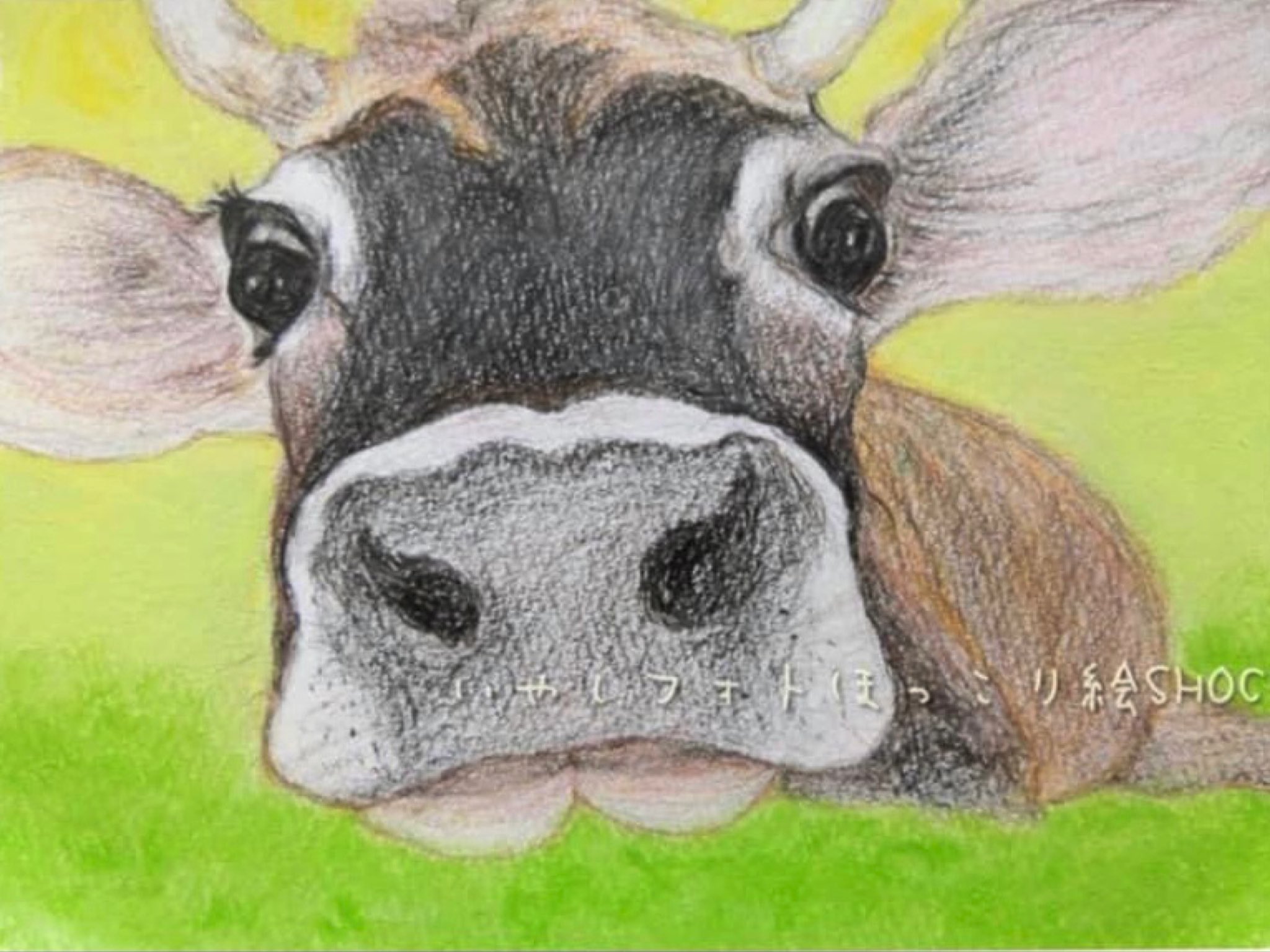 絵画 牛のパステル画 2019年 b5サイズ 9 件の「牛 絵画」のアイデアを今すぐ保存 | 絵画、牛、牛の絵 など
