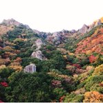 ベイリゾートホテル小豆島【公式】 @ 圧巻のオーシャンビューで瀬戸内マリンを独り占めのツイート画像