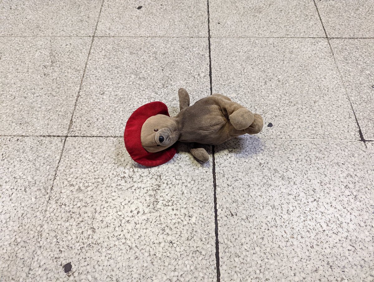 RobDenBleyker's tweet photo. i'm in london, and sad to report that Paddington has died https://t.co/doTvWEnqNn