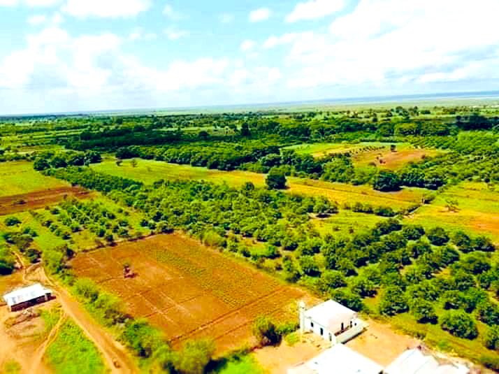 IbrahimHaashi's tweet photo. Luuq Ganaane, Gedo Somalia 🇸🇴 https://t.co/mcOKCrVYFQ