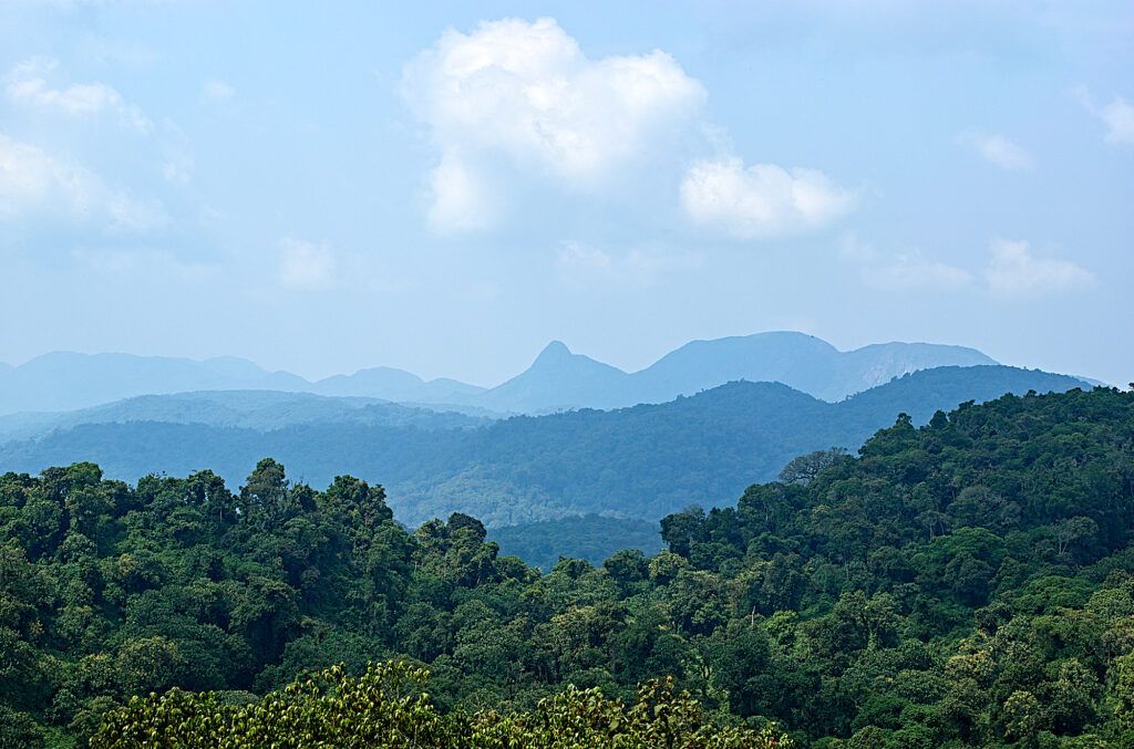 ReevolutionP's tweet photo. Ecogardiens du parc national #RDC Kahusi-Biega, classé patrimoine mondial #UNESCO 1980 ; vue du mont Biega, du nom du parc. En savoir plus sur l'oeuvre: https://t.co/NfhCTccJaP
#ecologie en #RDCongo grâce au Rainforest Journalism Fund @pulitzercenter via @wildlifemess https://t.co/V0ZHhKuugK