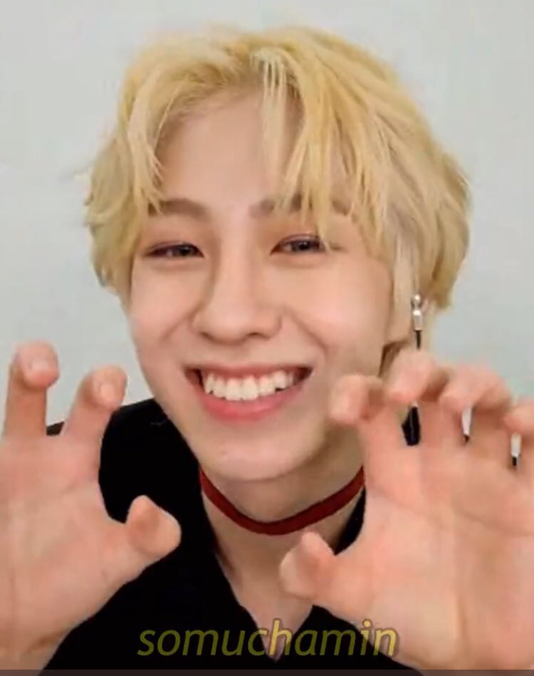 แวมไพร์เดนเดนนี่คั้บ อ้ยๆๆน่ากัวมั่กก