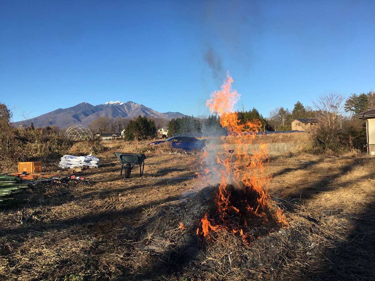fWDP0IKyeO4vwqn's tweet photo. 都会と田園地域（某八ヶ岳方面）を行き来して数年😅
コロナで移動自粛してたけど来年に向けて畑を整理中！畑や料理でつぶやきまーす！ https://t.co/xElzqmNyym