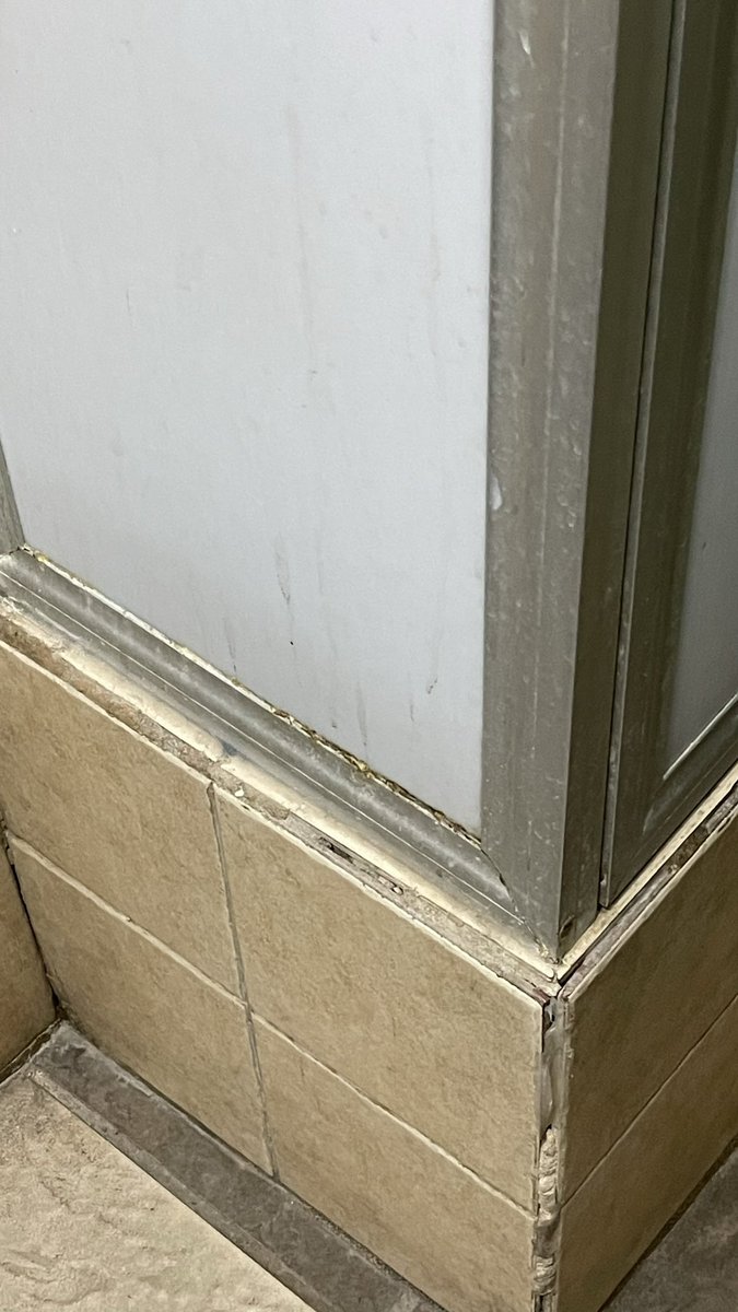 JoseM_Amaro's tweet photo. Es una vergüenza que un restaurante de @CarlsJrMx esté en un estado de abandono, suciedad y deterioro tan deprimente. Y bueno sería que el servicio salvara la experiencia, pero no, además de horrible la sucursal, horrible el servicio. Parabién, Nuevo Vallarta. https://t.co/CXViP7E3tu