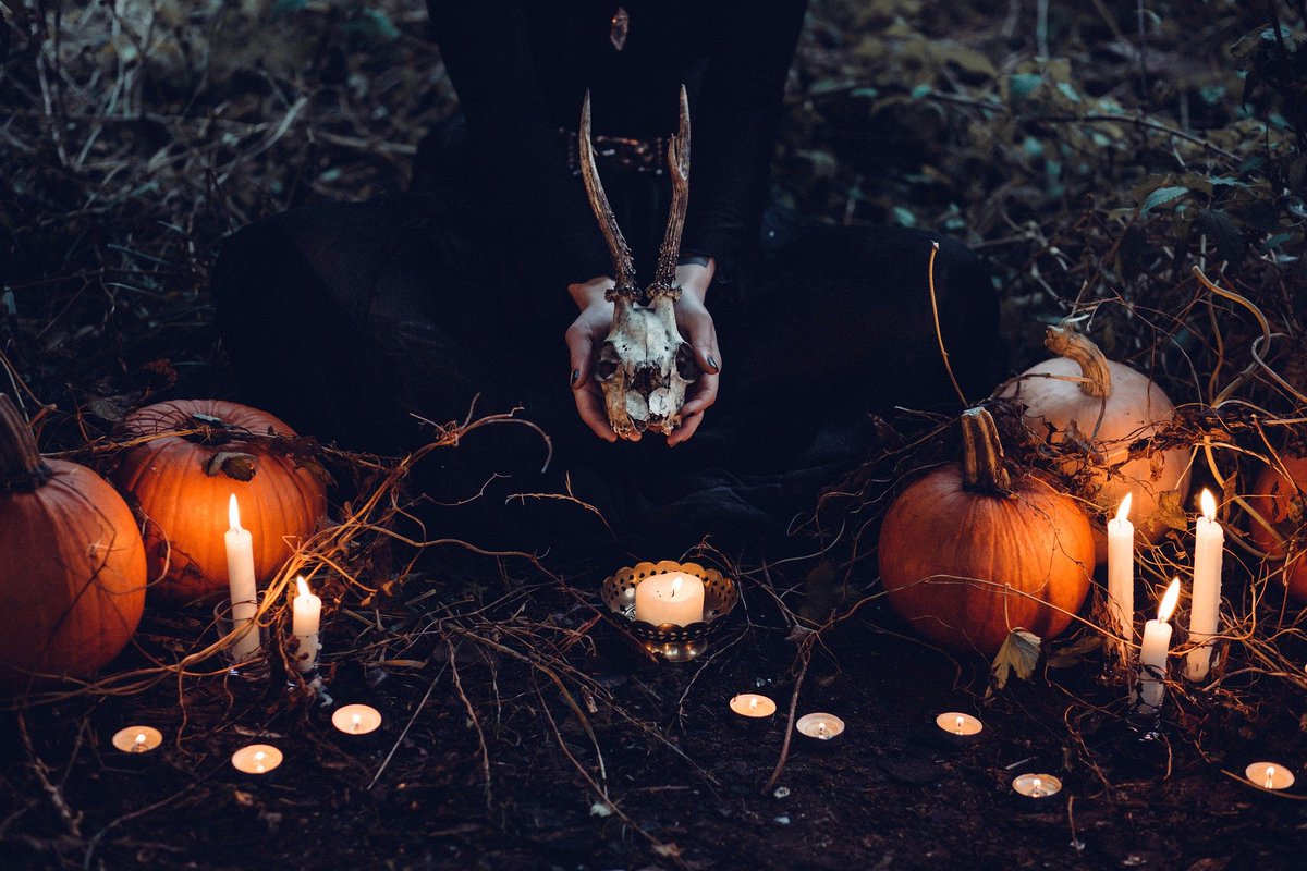 InglesOnline6's tweet photo. #Halloween: vocabulario en inglés!
https://t.co/Fw8LUaib5N

#aprenderingles #learnenglish #englishonline #inglesonline #studyenglish #halloween2021 https://t.co/uU6rSSTjdr