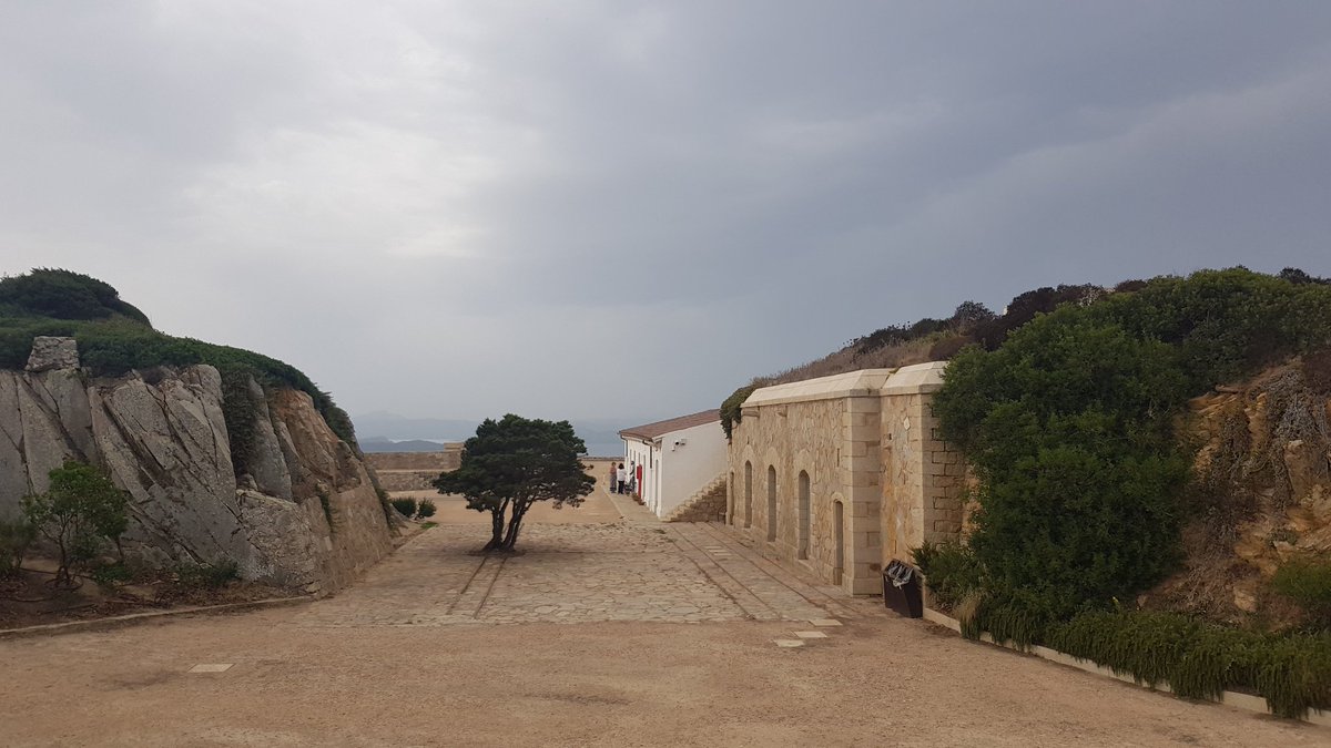 MuseiCaprera's tweet photo. Mattino di #autunno al #MemorialeGiuseppeGaribaldi. Perfetto per una visita al museo, ma anche per girovagare per le vaste aree esterne in tutta calma. C'è una luce particolare, la terra esala i profumi della macchia mediterranea, un'esperienza di per sé speciale. 😍🌻 https://t.co/BY6waxTsSe