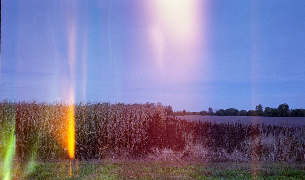 8888SEB's tweet image. Rural Indiana with Light Leaks - Olympus Stylus Epic with @KodakProFilmBiz Gold 400 developed with @CineStillFilm C-41 with light leaks #filmphotography #lightleaks