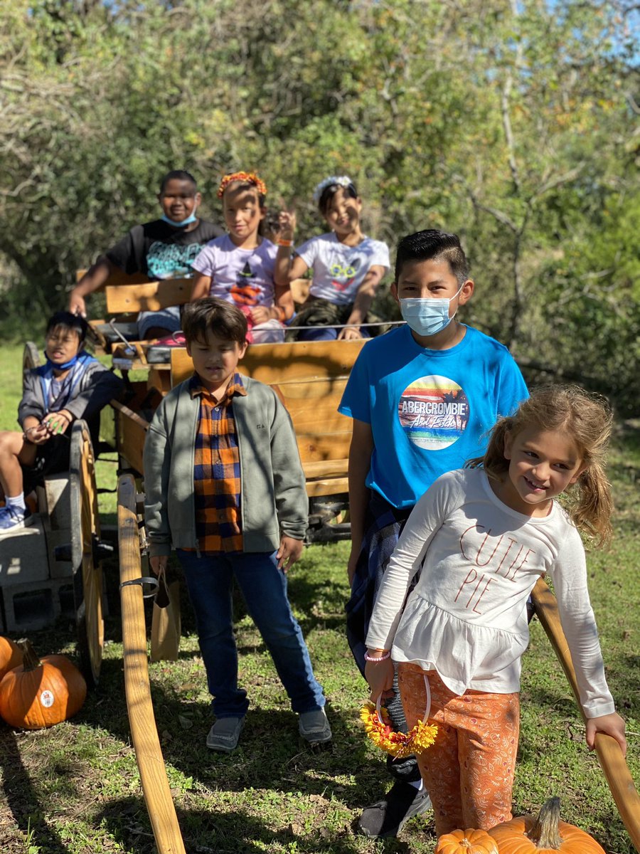 Ashford Elementary HISD tweet media