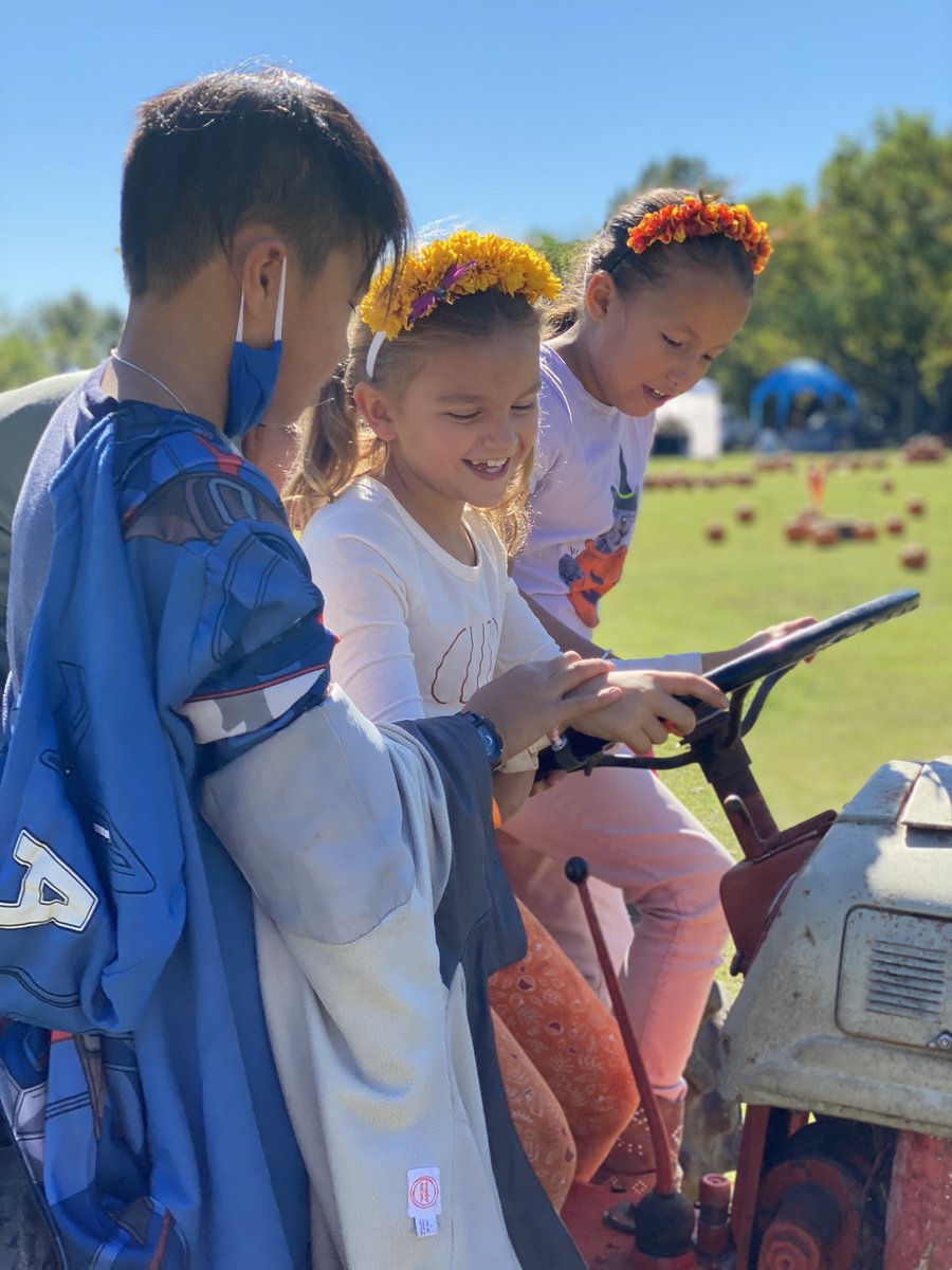 Ashford Elementary HISD tweet media