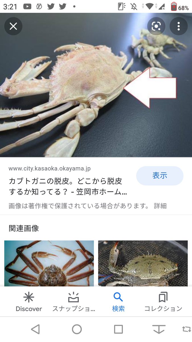 訃報 取り消し ペットの蟹が亡くなって子供と悲しみながらお墓に埋葬して水槽を片付けていたら 中から蟹が出てきた人の話 生きてて良かった 2ページ目 Togetter