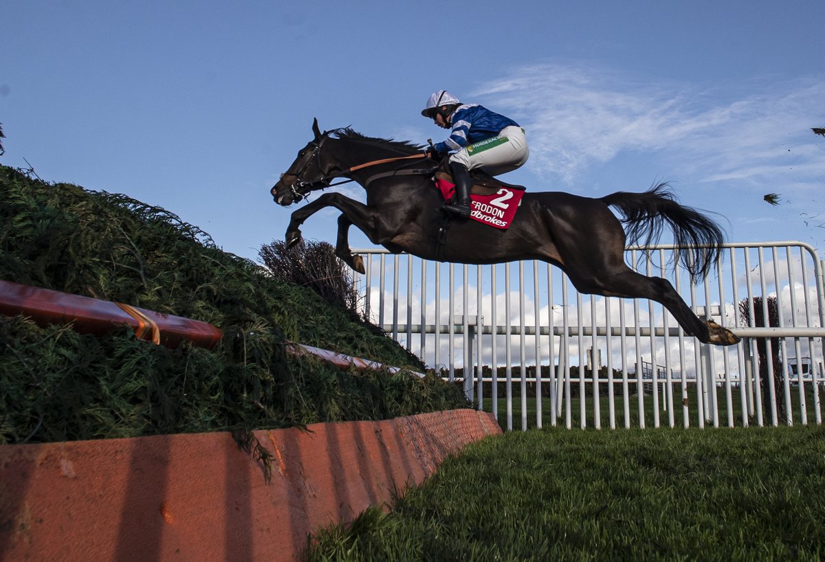 Frodon is a superstar 💙