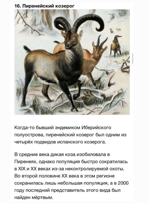 кошмар! https://t.co/H65gtKvTJN