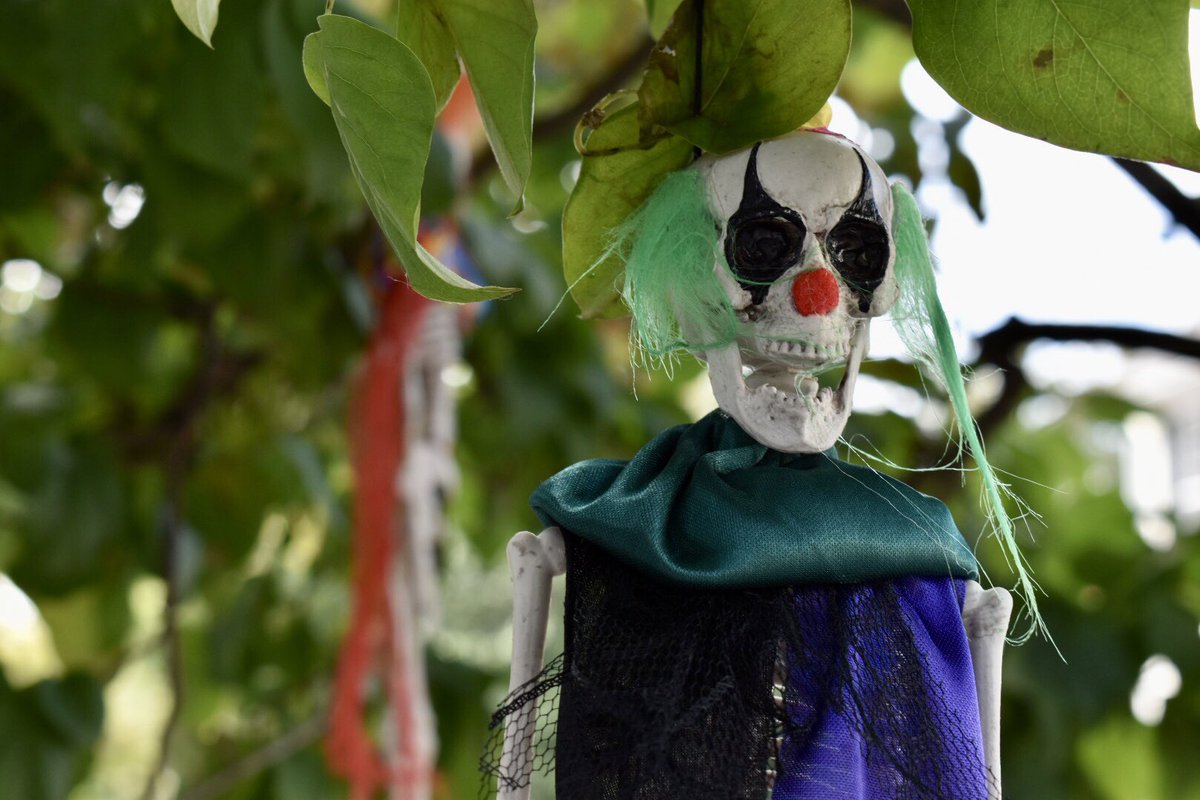 Virginia_Delish's tweet photo. Festivity on South Lee Street (right off King Street by the waterfront)🎃💀🤡 #VisitALX #BringStellaHome #PoorStan https://t.co/Ufv3YtupBY