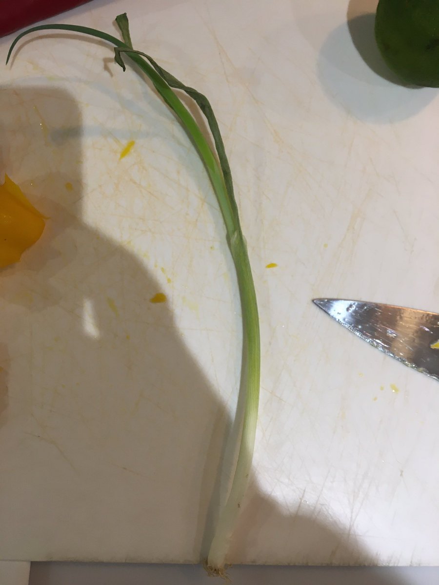Alright <a href="/HelloFreshUK/">HelloFresh UK</a> apparently this is a spring onion…?! I’ve plucked bigger pubes than this!!