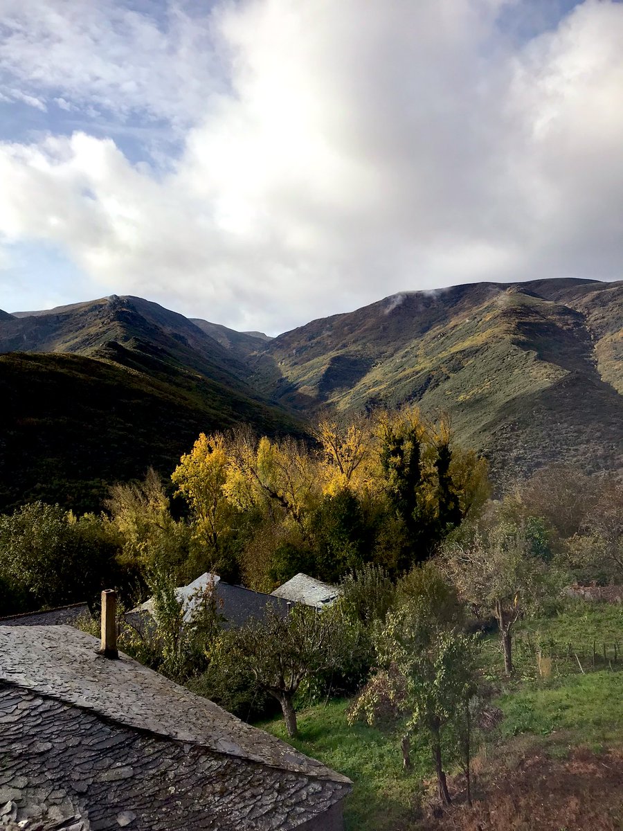 soylazarzamora's tweet photo. Se me llena el corazón en este sitio. 🪵🍃🍂🍁🌰🤎 #leonesp #cabrera #cabreira #odollo https://t.co/O5KbH56mtO