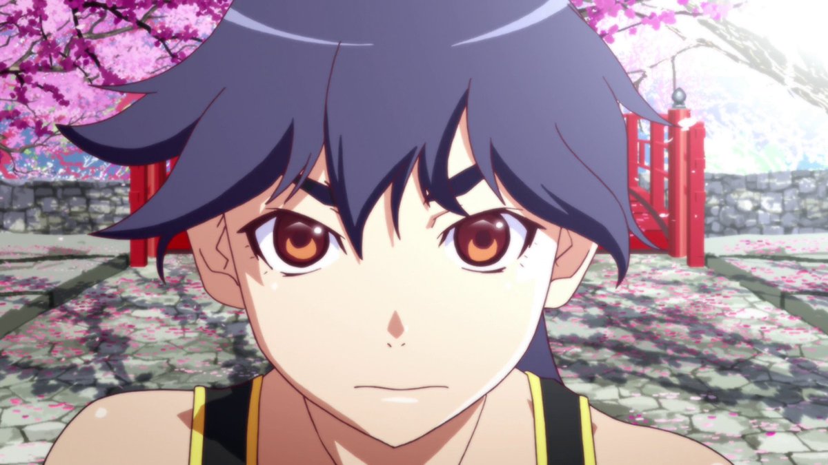 SurugaPics tweet picture