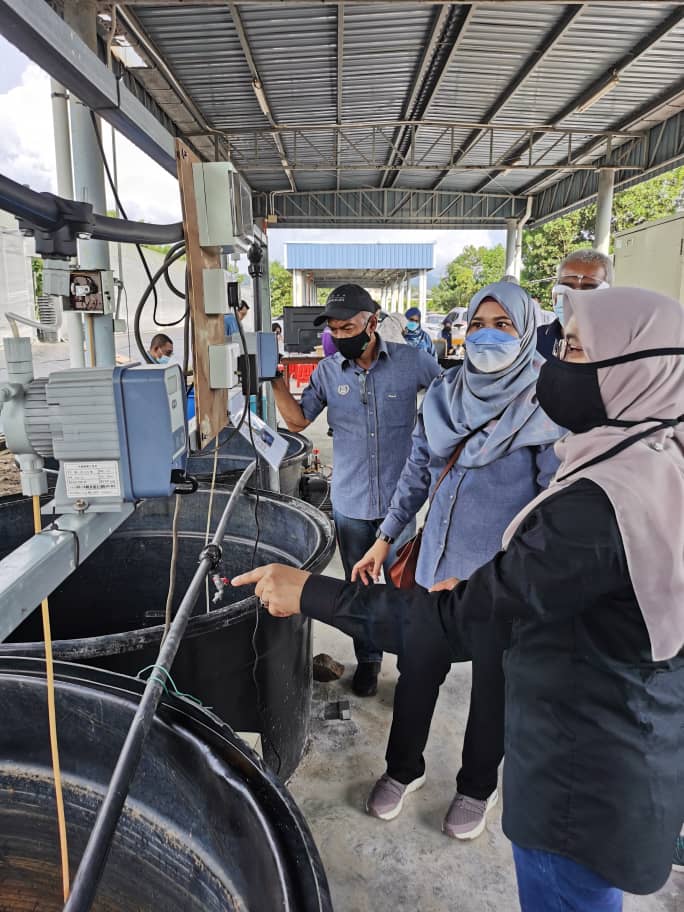 DOAkubangpasu's tweet photo. 29 Oktober 2021, Lawatan pemantauan projek Tanaman Rock Melon Kaedah Verticle Farming oleh Ybrs. Puan Habshah Binti Ali , Setiausaha Bahagian Kanan (Pengurusan)#myDOA#TeamDOA#TeamMafi#MAFIMalaysia#MAFIPrihatin#DOAKedah#DOAKubangPasu#InovasiDOA#pertanian#foodsecurity#Agrofood https://t.co/oMPzH1D2BZ