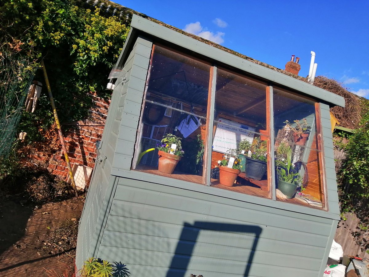 avidgardener72's tweet photo. Bit of a reorganise #talesfrommypottingshed a makeshift extra temporary shelf #backofabench and even into the #roofspace #usefulspace @ngsgardenhook @Dougthegardener #Eastyorkshire and yes the sun finally came out βοΈ https://t.co/vLV62L6dtn