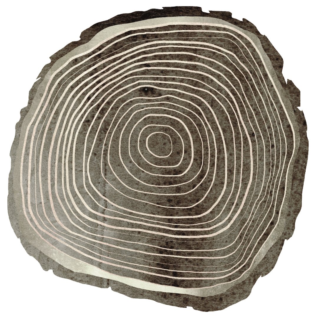 Tree Rings: Celebrating Trees and Prints for Sale...
I’m taking part in an exhibition: Celebrating Trees, with this limited edition print. celebratingtrees.org.uk/exhibition/
#trees #celebratingtrees #limitededitionprints #treerings #ink #artwork #illustration #gicleeprints #artprints