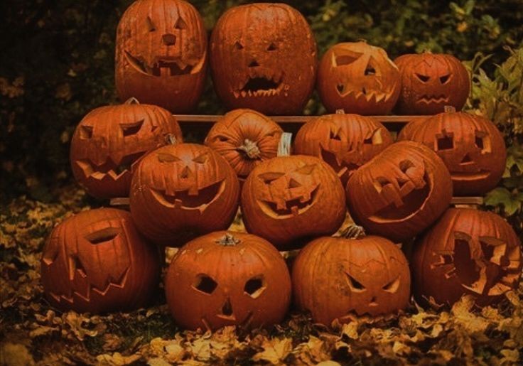 ZCasnova's tweet photo. [Solo Roleplay ] -Night before Halloween-

-ฉึก ฉึก-
มือของเขาได้จับมีดอย่างหนักหน่วงมาคว้านเนื้อฟักทองอย่างสวยงาม ซึ่งตอนนี้เขาทำมาได้ 15 ลูกแล้วโดยส่วนใหญ่จะแกะสลักทั้งหมดแล้ว

“อ่า...ลูกนี้ลูกสุดท้ายแล้ว เหลือเพียงแค่เท่านั้นแล...” https://t.co/ZeldHu60Jr