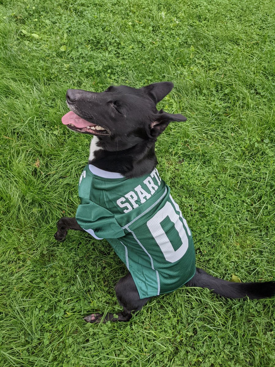 Review the Brew tweet media