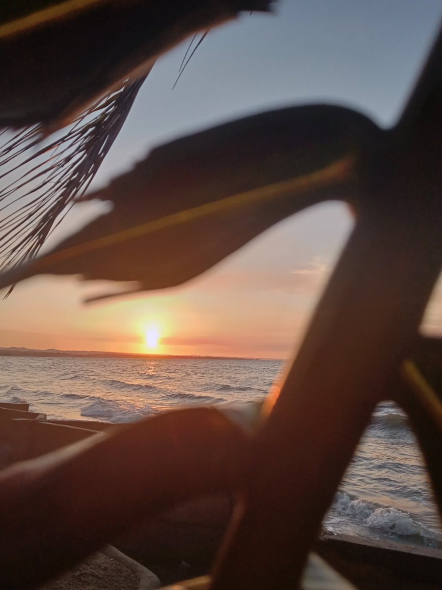 kimmysals's tweet image. &quot;Sunset are proof that endings can be beautiful&quot;

#Week7
#ContextualArtAppreciationPost
#PracticalArt: Photography
#Sunset

Source of picture: Rey Kim