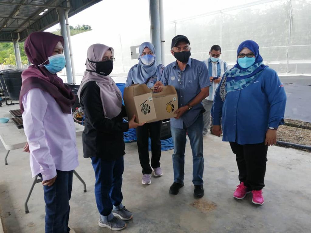 DOAkubangpasu's tweet photo. Tanaman Rock Melon, Projek AgropreneurMuda B40 dibawah sifu En Yusuf. Turut hadir Tuan  Pengarah  Pertanian  Negeri Kedah (En Ramli Abdul Rahman) #myDOA#TeamDOA#TeamMafi#MAFIMalaysia#MAFIPrihatin#DOAKedah#DOAKubangPasu#InovasiDOA#pertanian#foodsecurity#Farmers#Agrofood#rezekitani https://t.co/vz1seSlqsI