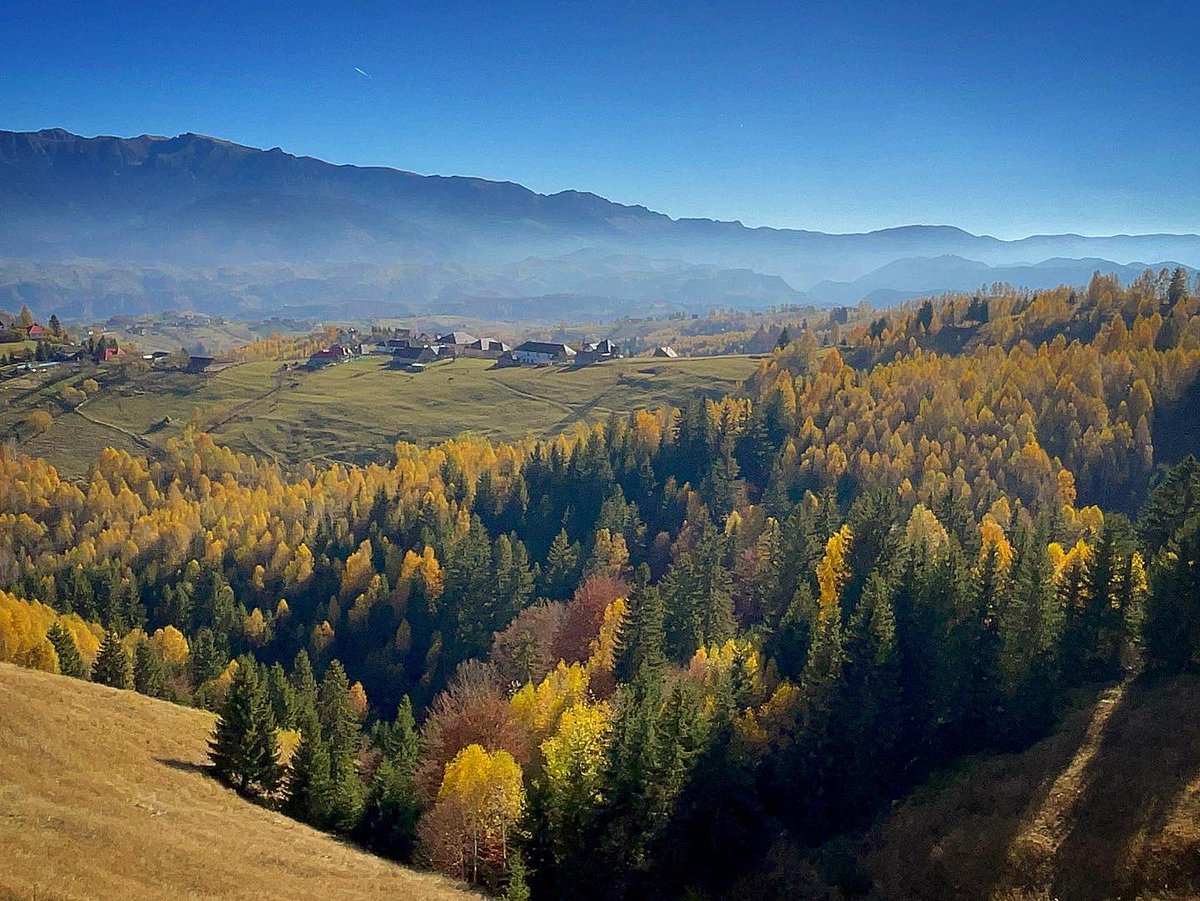 DavidSaranga's tweet photo. Beautiful colors of #autumn in #Romania

#Pestera, #Transylvania #DiscoverRomania https://t.co/vrndFcQ8zN