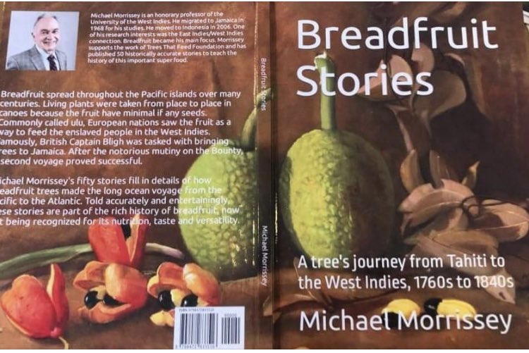 Trees That Feed tweet media