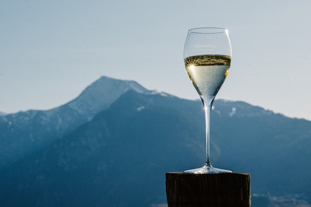 WineNewsIt's tweet photo. #Trentodoc è il metodo classico italiano più premiato, con 72 medaglie (22 ori e 50 argenti), e sono 26 #casespumantistiche in Istituto @trentodoc ad essere state premiate al “The Champagne &amp; Sparkling Wine World Championships 2021” (@CSWWC2021). Su tutte svetta #Ferrari https://t.co/U9tu9omqE6