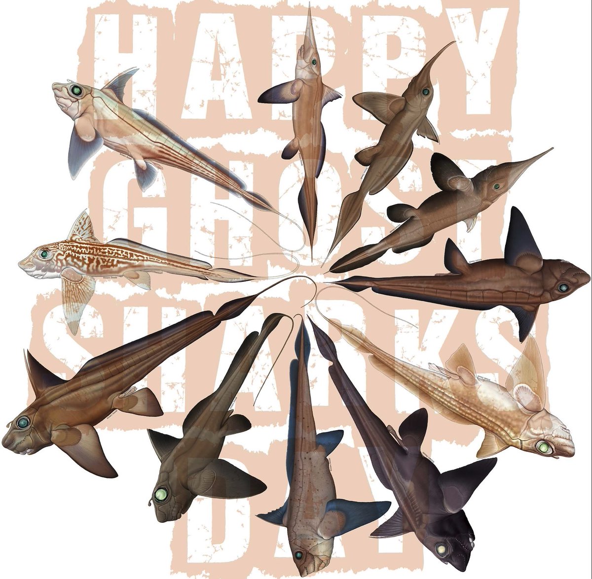 Marc Dando tweet media