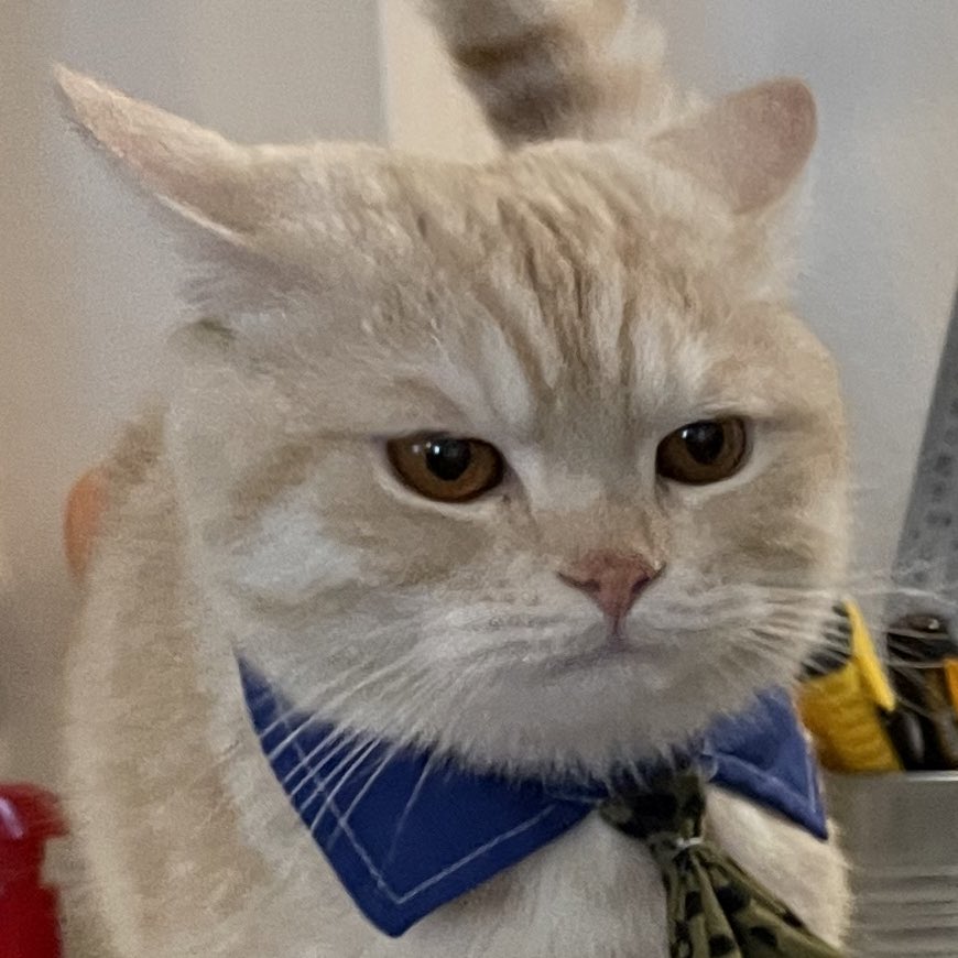 แสวกันอยุ่ได้