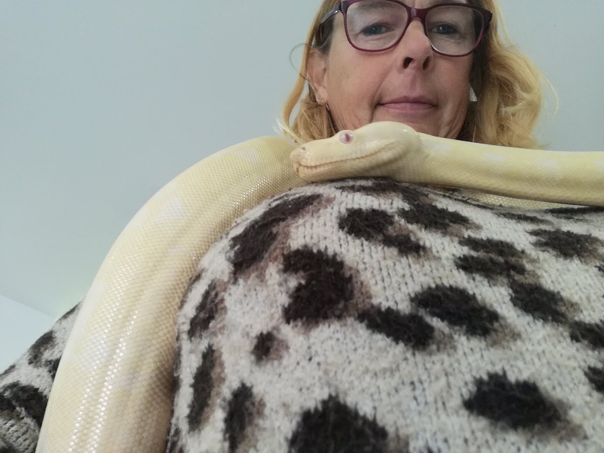 louise patmore tweet media