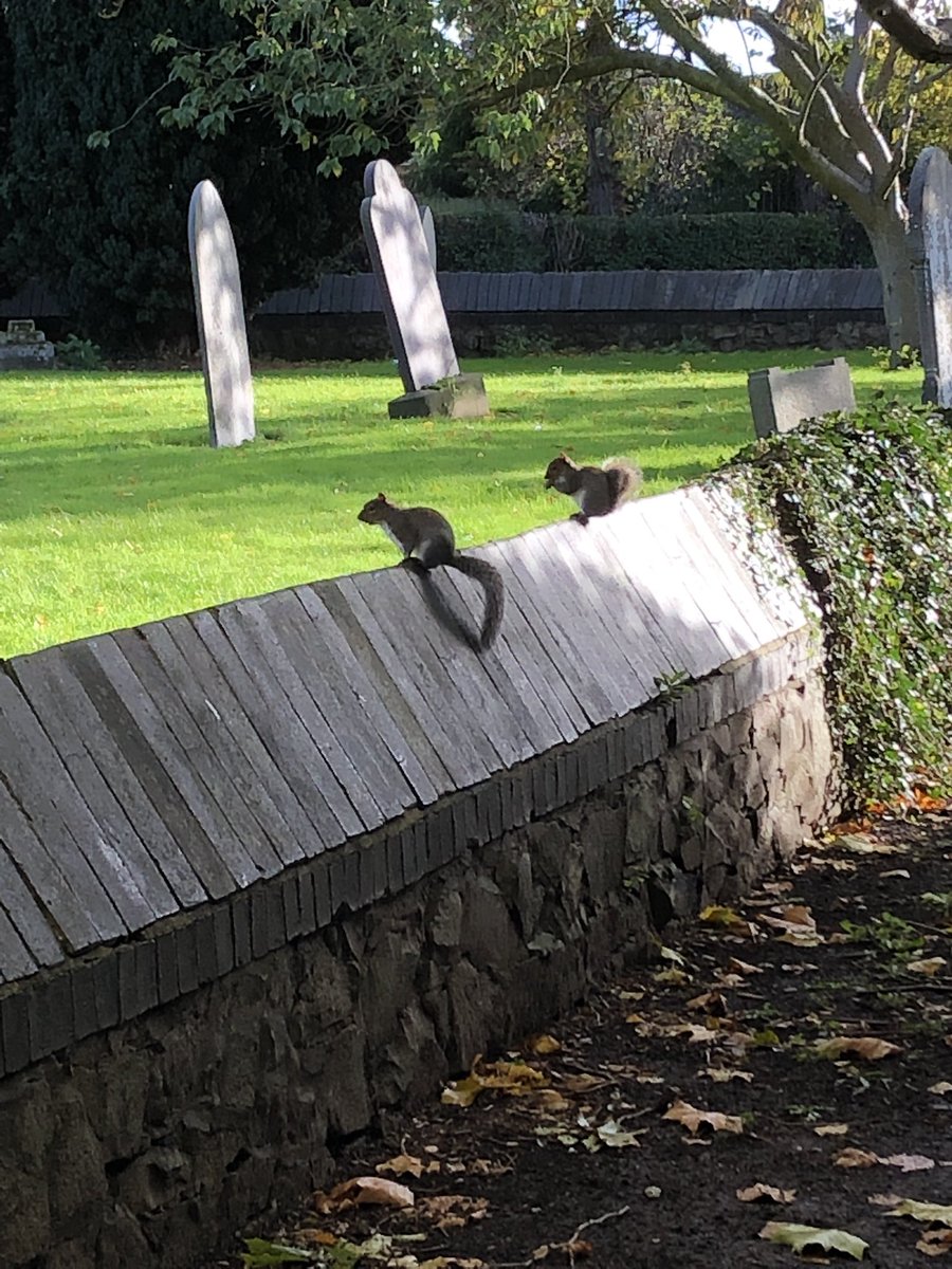 Stewart Bint tweet media