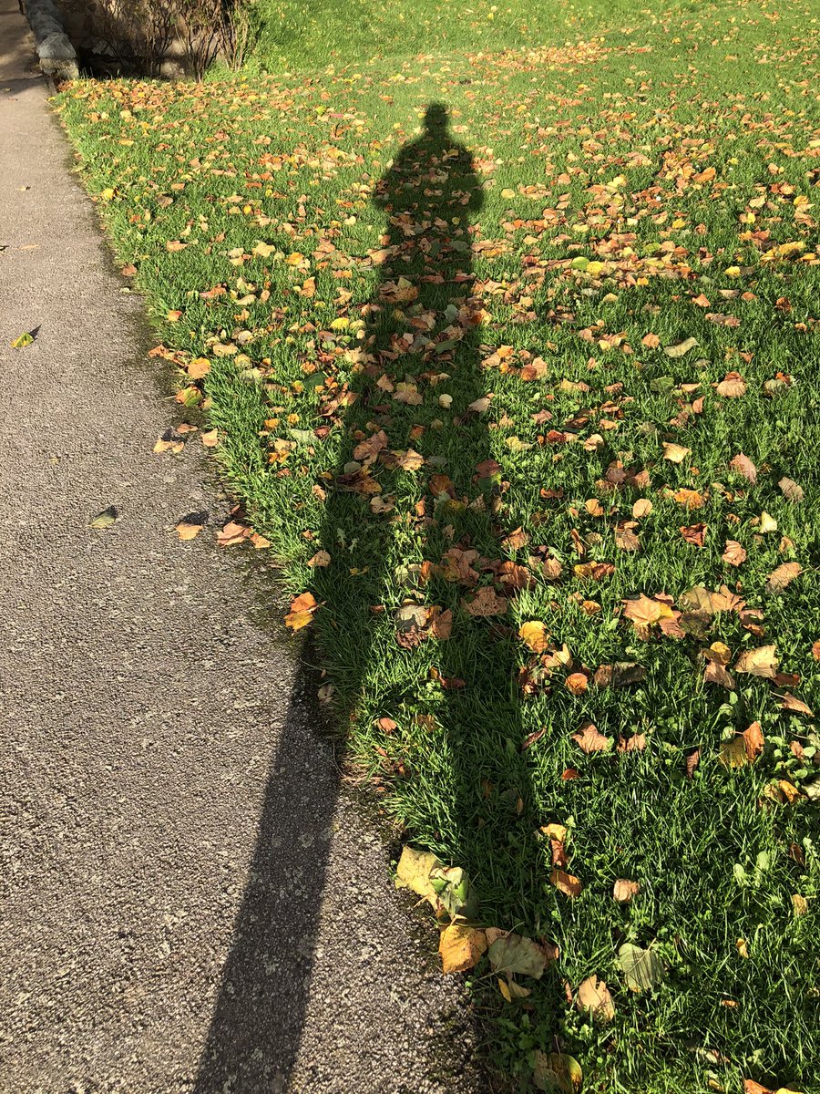 Stewart Bint tweet media