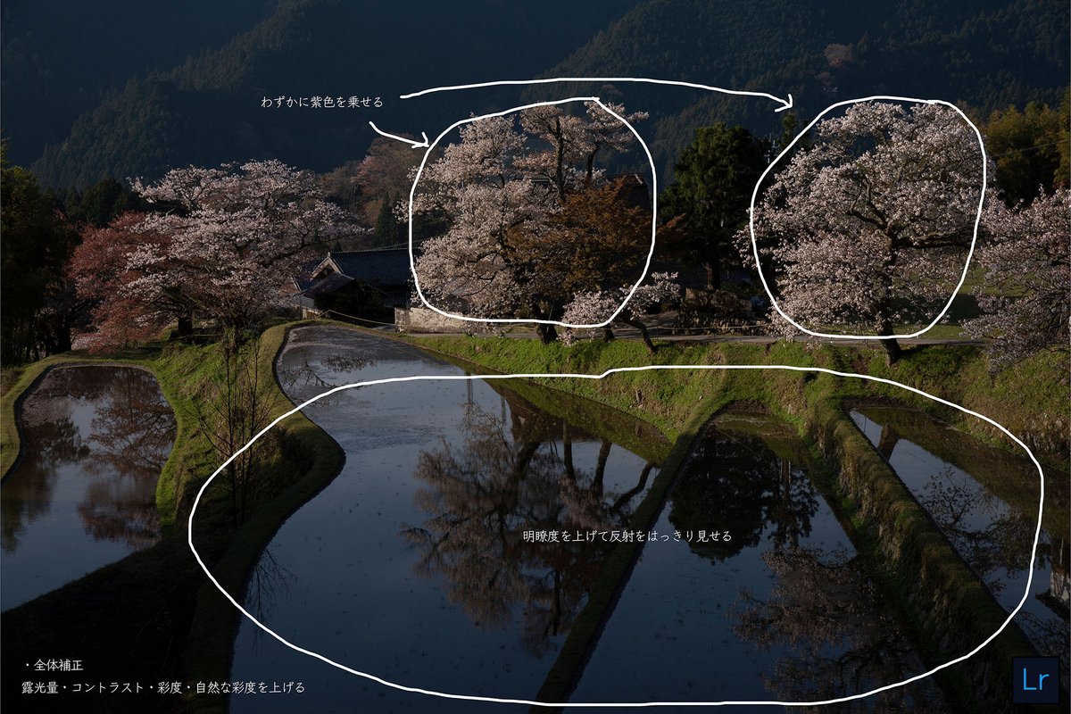 YutoPhotography's tweet photo. RAW // レタッチ後 https://t.co/VDVHxnuY6p