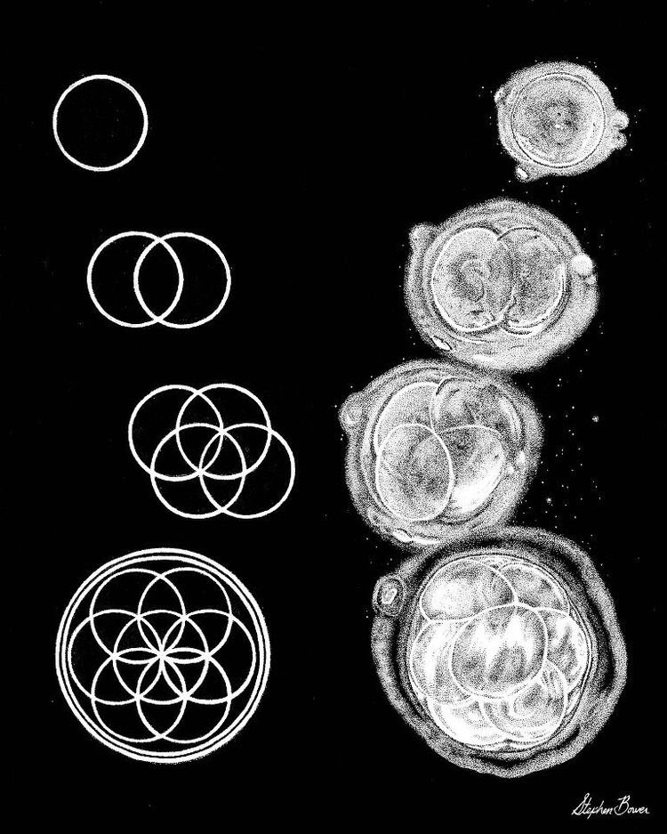 saturnpath's tweet photo. Enmeshment is such a challenge. 

When you let go the mesh gets violent. 

It’s not time to grow up.
Not even there yet.

It’s time to be born. https://t.co/LLYYPB00I5