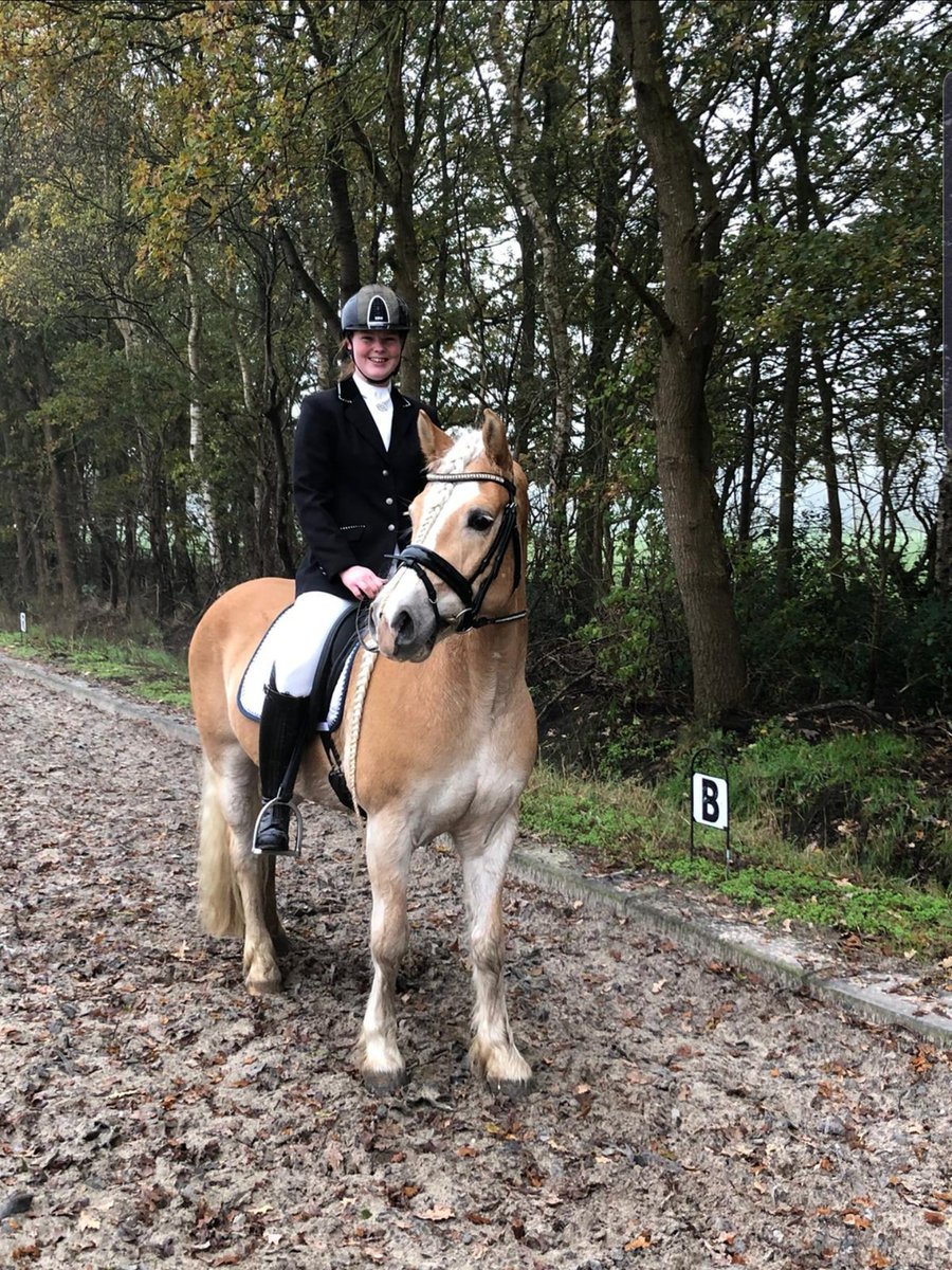 chasinghoran's tweet photo. Dit ontzettend leuke, gekke paardenbeest is tegenwoordig gewoon van mij! Ik kan het nog steeds niet echt bevatten, maar ik ben wel een enorm trots en blij pennymeisje nu 🥰 https://t.co/DZPeQX3eNu