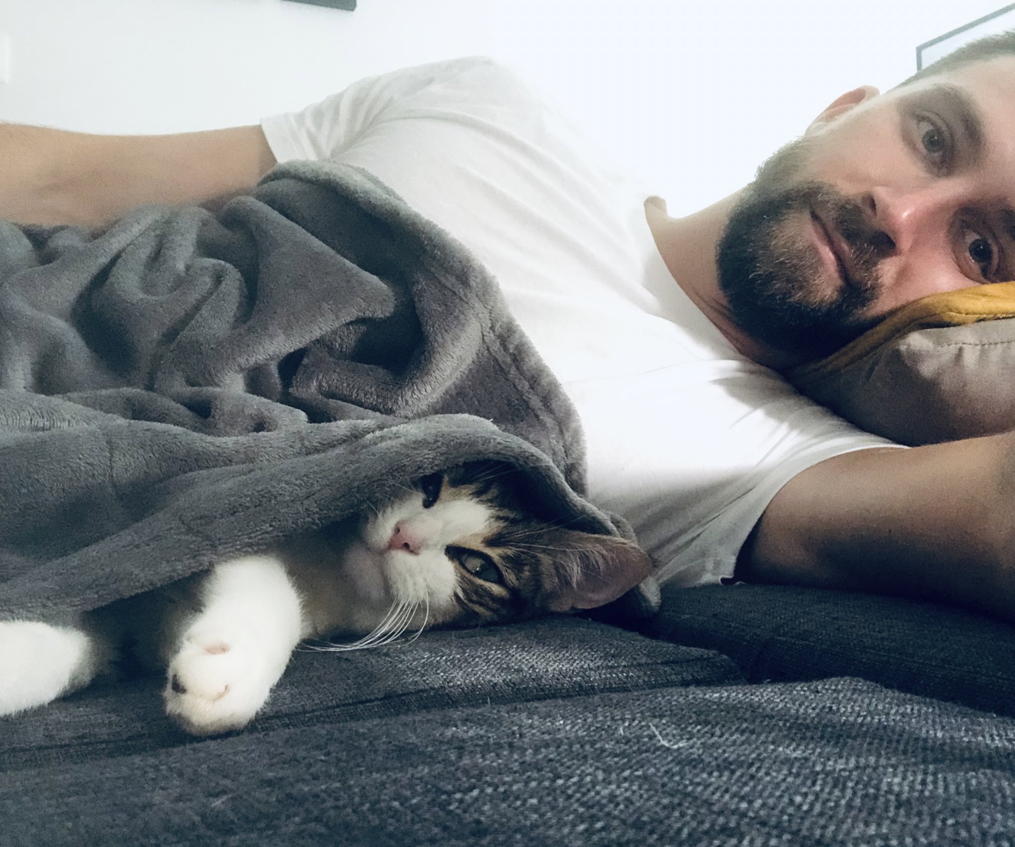 FC9GvMaWEAcvsiM.jpg:large