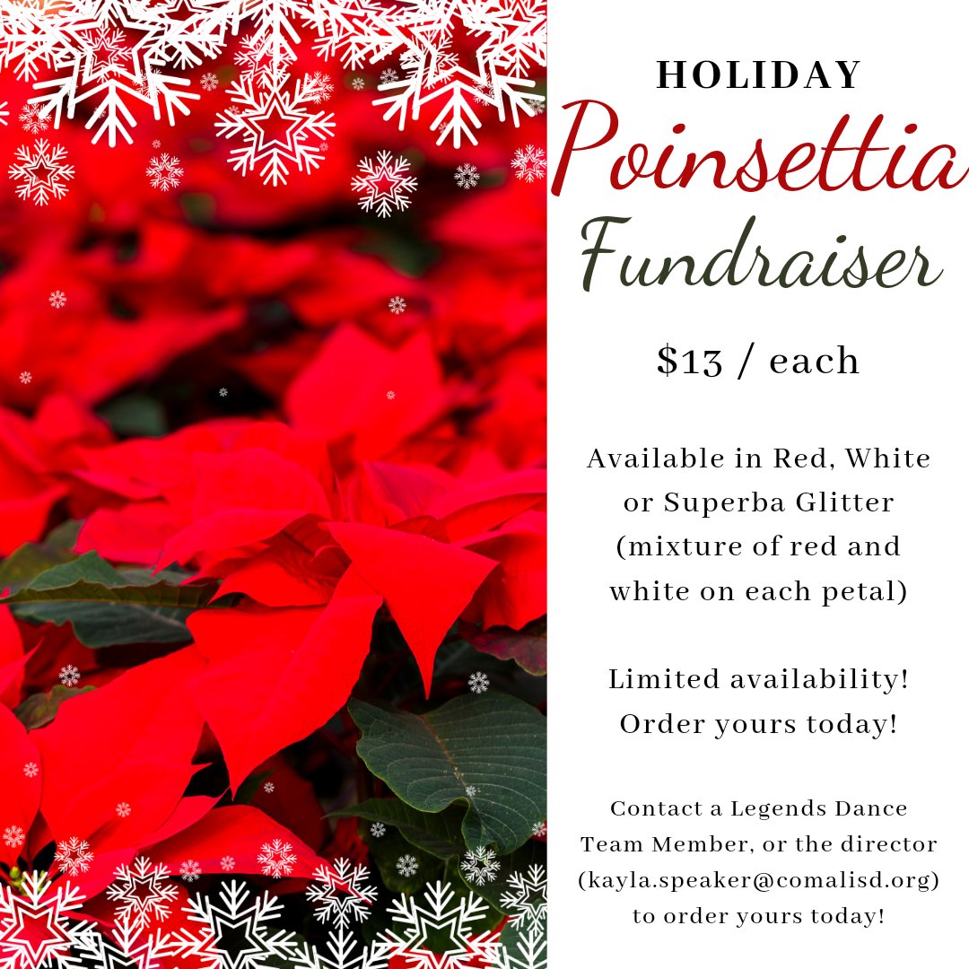 PHS_DanceTeams's tweet photo. Orders are due 11/5! Make sure you don't miss out on amazing poinsettias this holiday season! #fundraiser #pieperdanceteam #legendsdanceteam https://t.co/DvxA05g5Bw