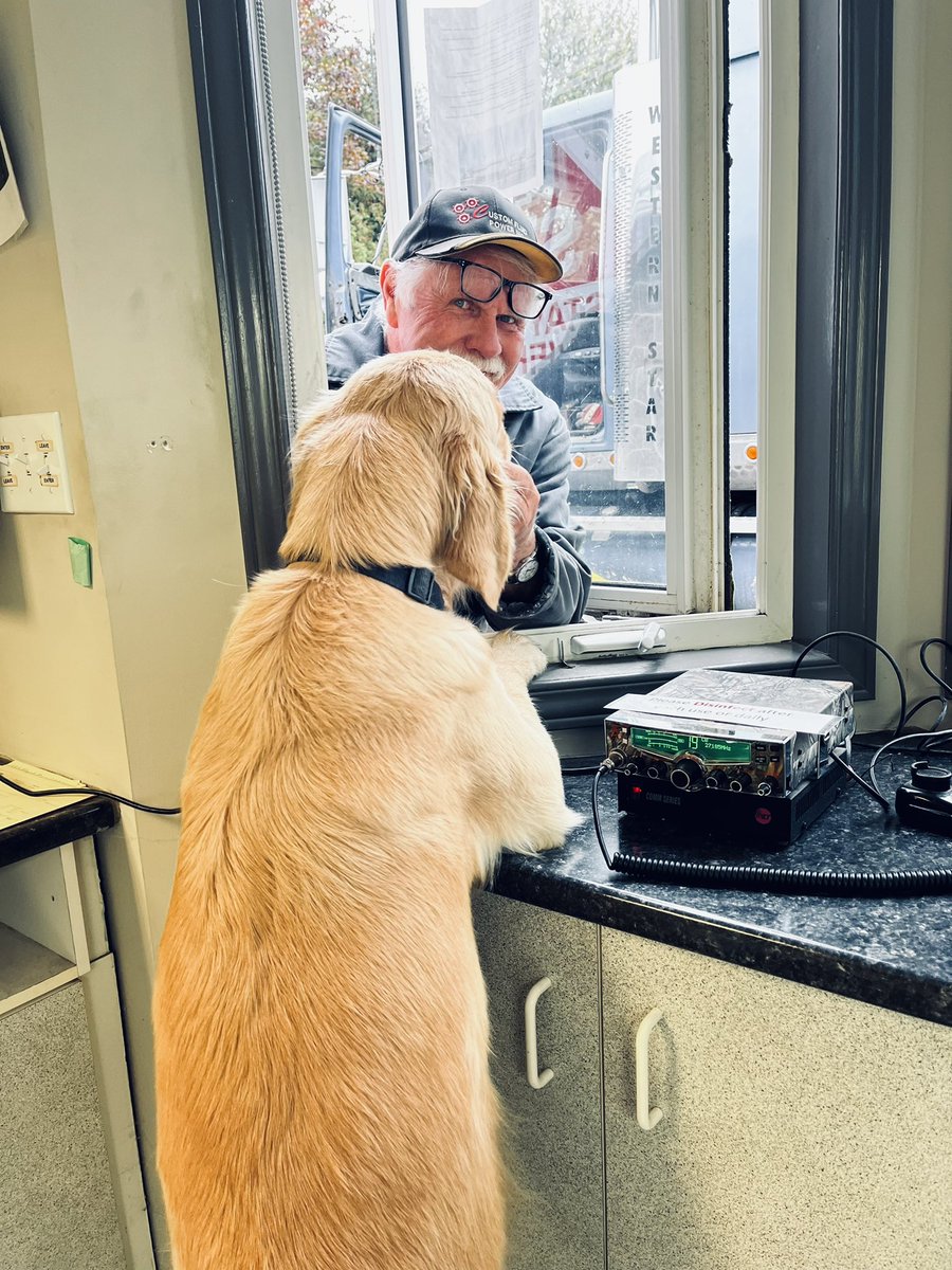 He’d be a much scarier guard dog if he stopped greeting all the customers like this