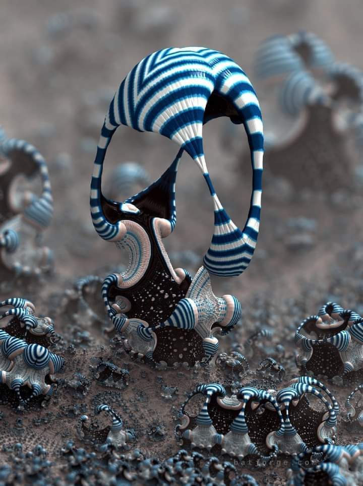 Une nouvelle espèce de corail a été découverte aux îles Galapagos...😮
Notre nature est si belle!!!

Ailes en rêve 
#biodiversité 
#NaturePhotography