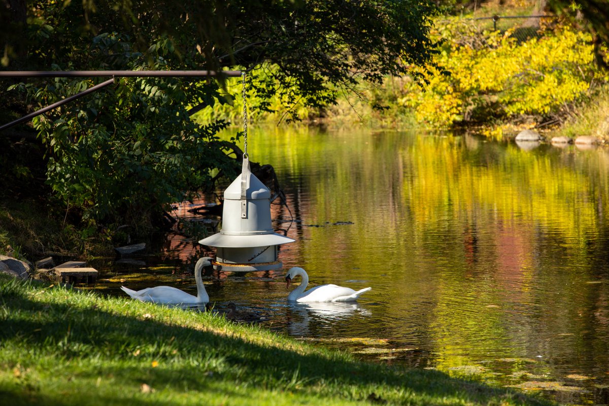 isualum's tweet photo. Nothing compares to fall on the Iowa State campus 🍂 https://t.co/jzLQiOSFKy