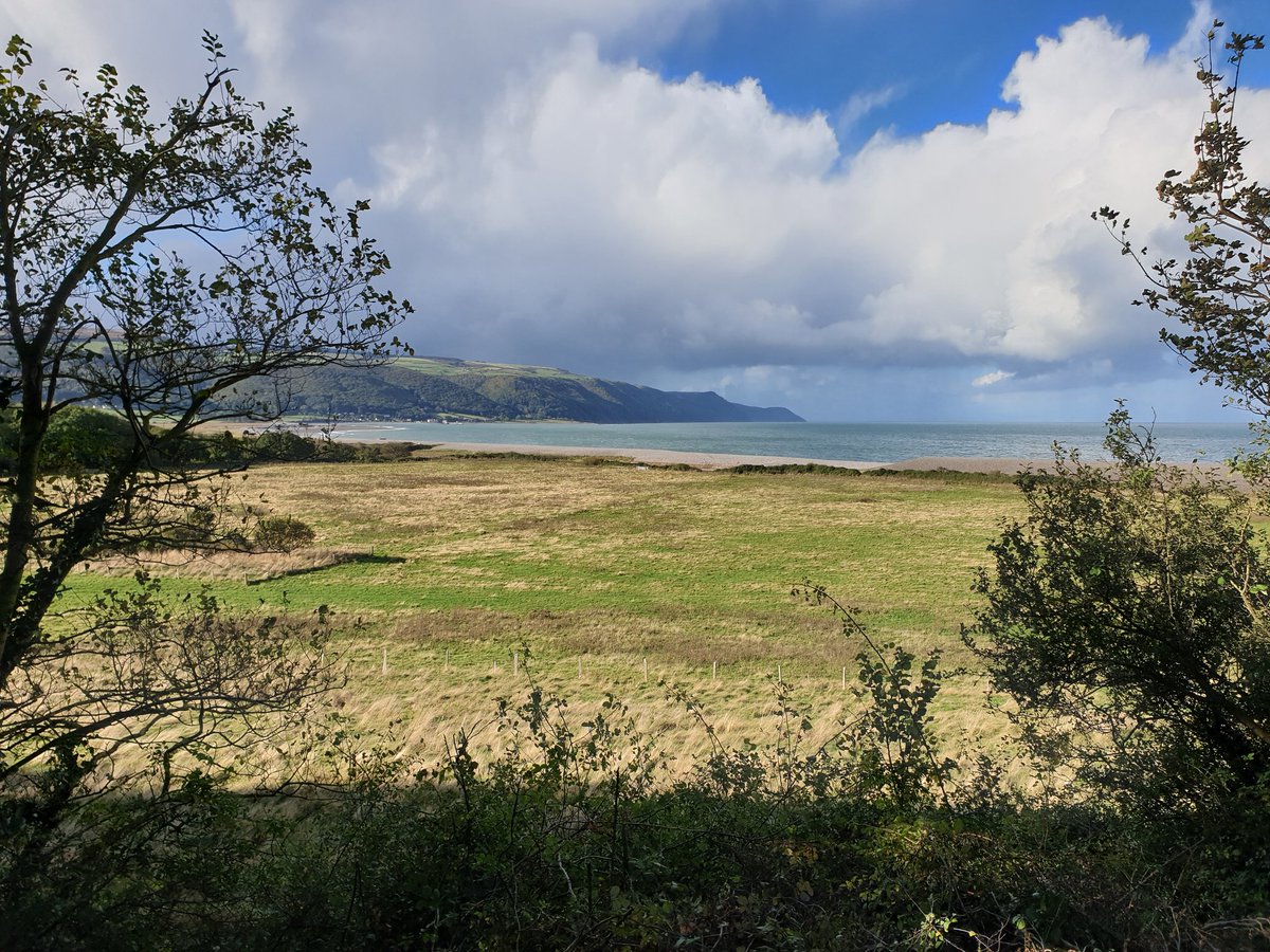 Andrew J Langstone tweet media