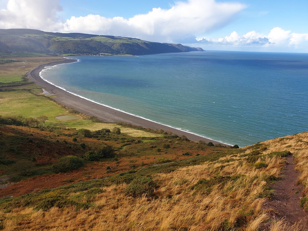 Andrew J Langstone tweet media